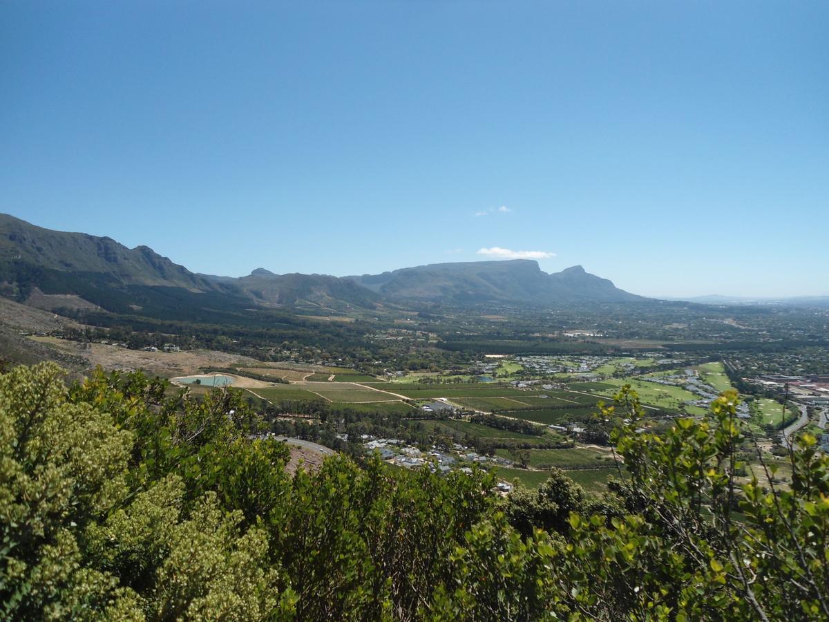 Constantia Cottages Exteriör bild